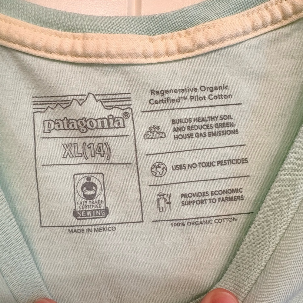 Patagonia Kids Youth XL 14 Graphic T Shirt Organic Cotton Light Green - Picture 2 of 11